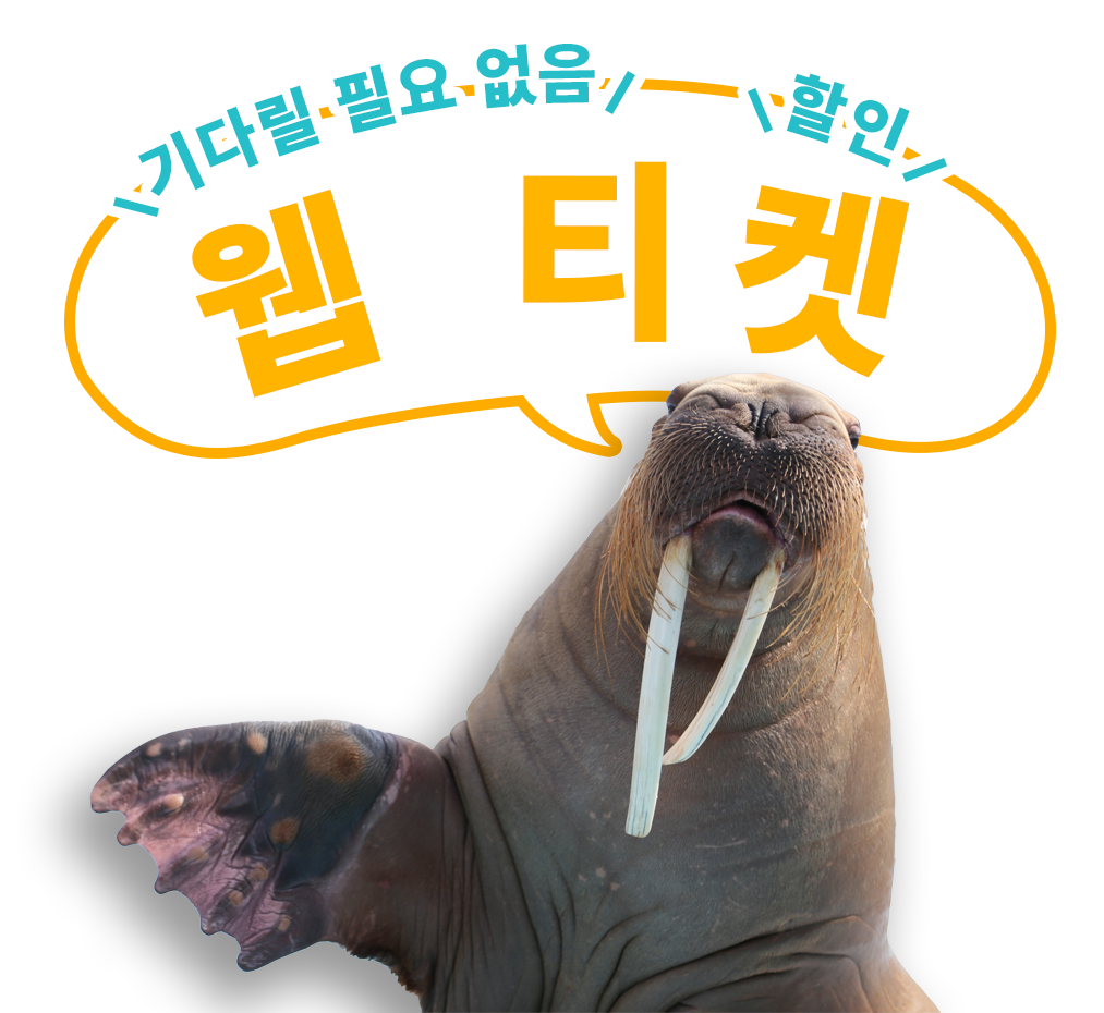 お得なwebチケット