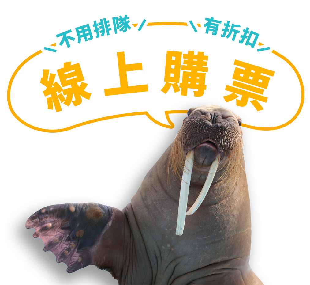お得なwebチケット