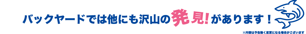 バックヤードでは他にも沢山の発見!があります!