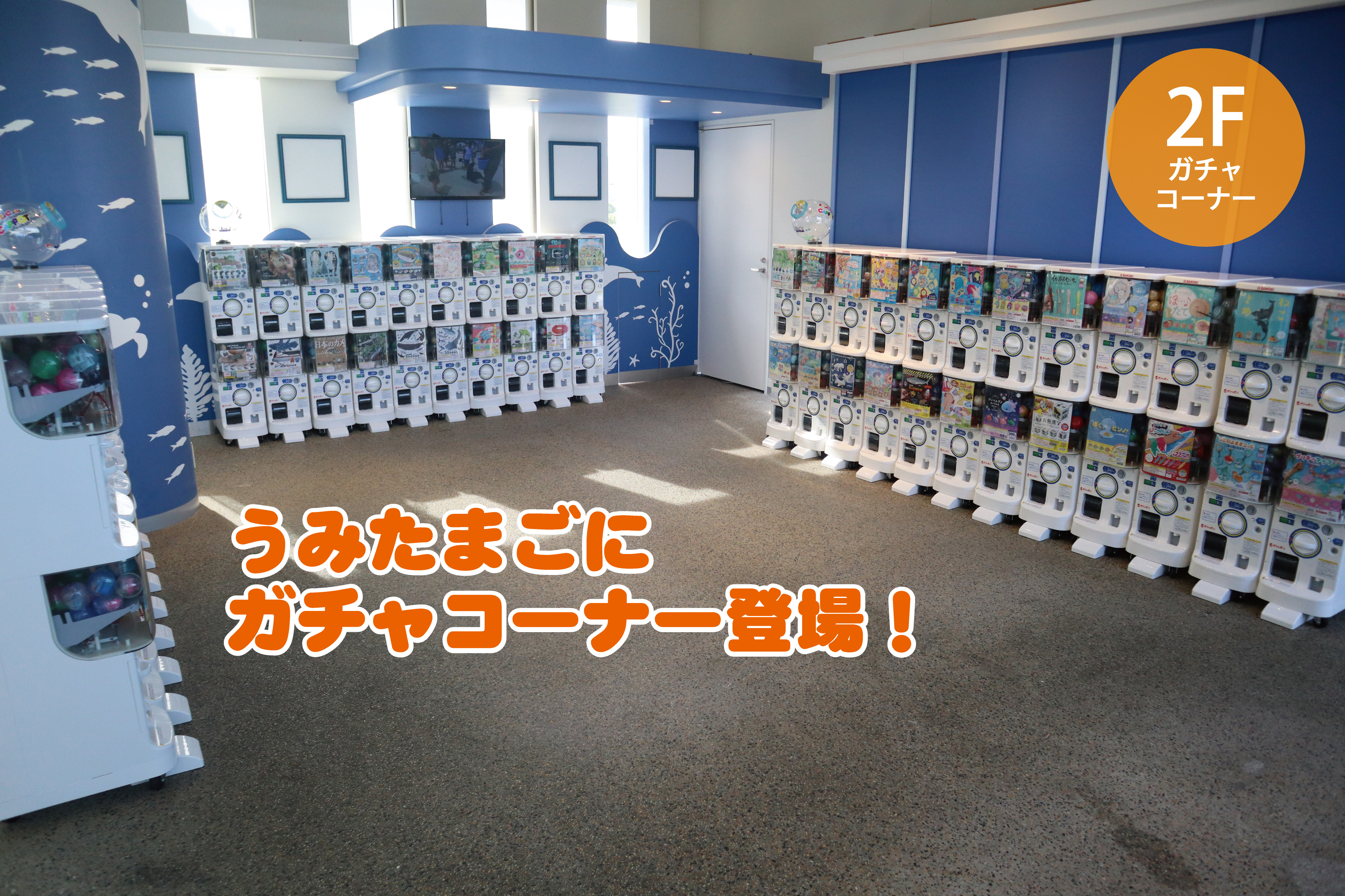 うみたまごならではのユニークなグッズが大集合!