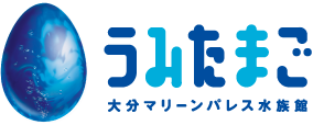 うみたまご