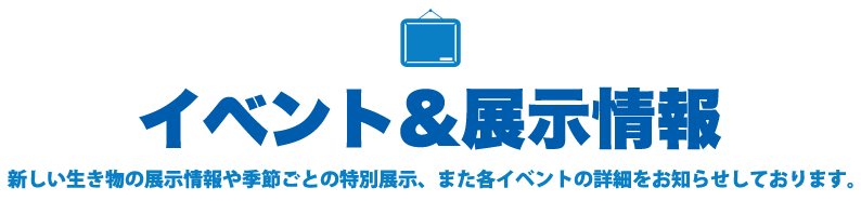イベント＆展示情報 新しい生き物の展示情報や季節ごとの特別展示、また各イベントの詳細をお知らせしております。