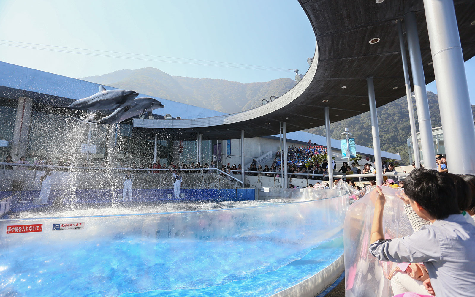 大分海洋宮殿水族館 海之卵 Umitamago