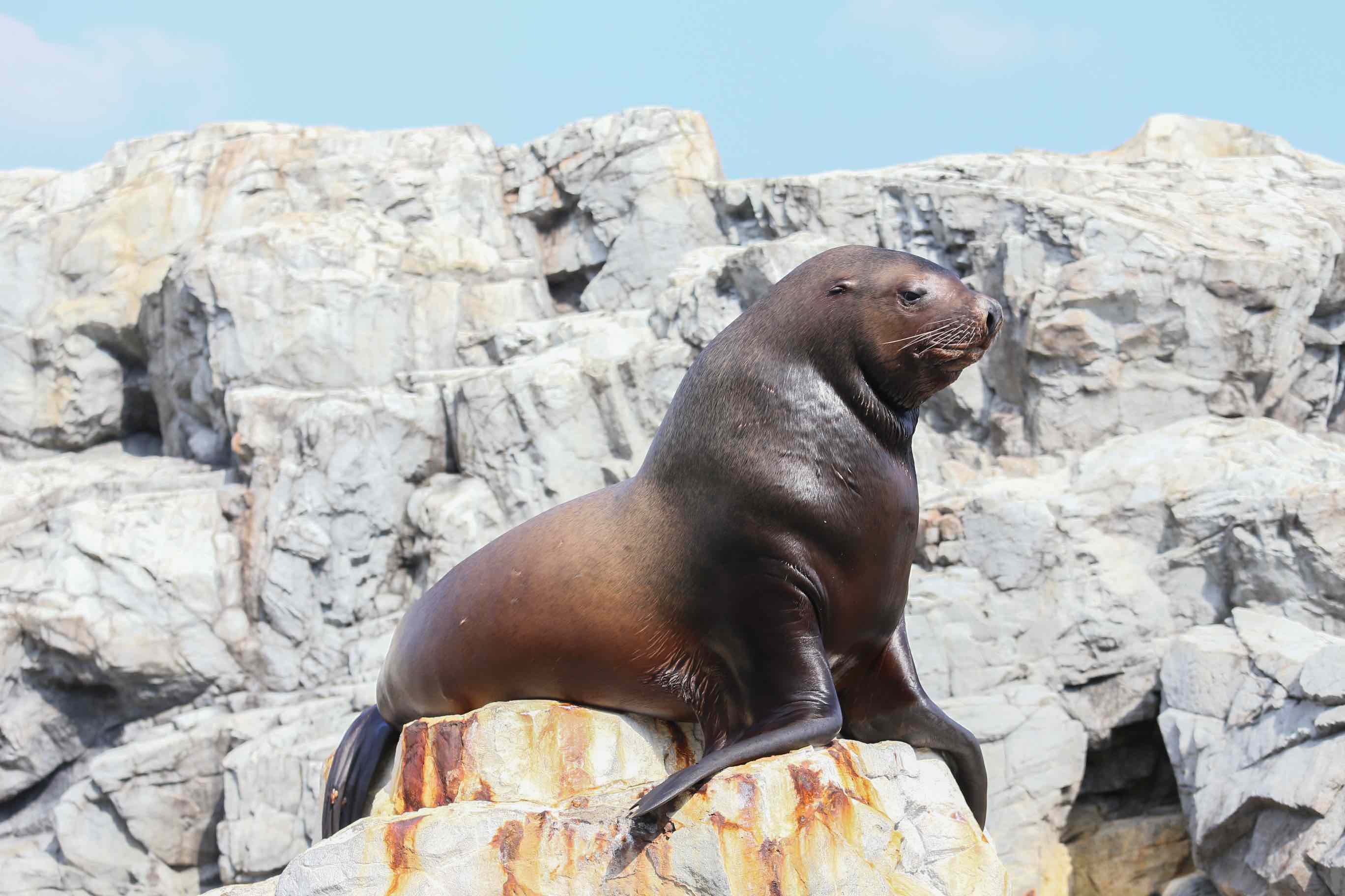 大分マリーンパレス水族館 うみたまご