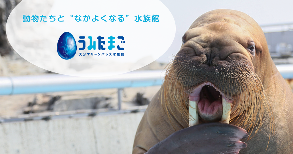 水族館「うみたまご」