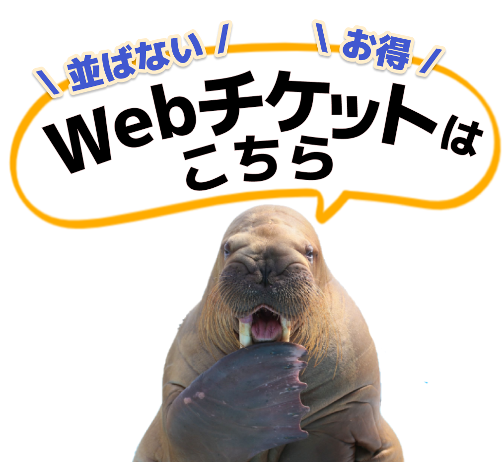 お得なwebチケット