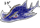 f1_img_1384675289_shinonome2