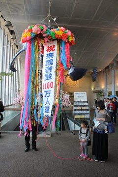 IMG_2372 (1)