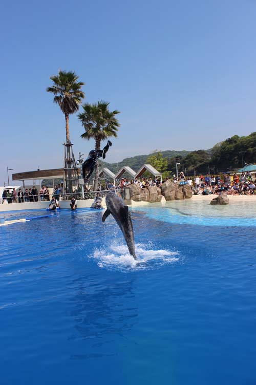 プレイングタイム10