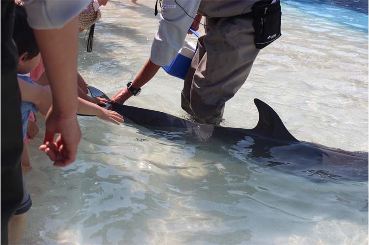 プレイングタイム14