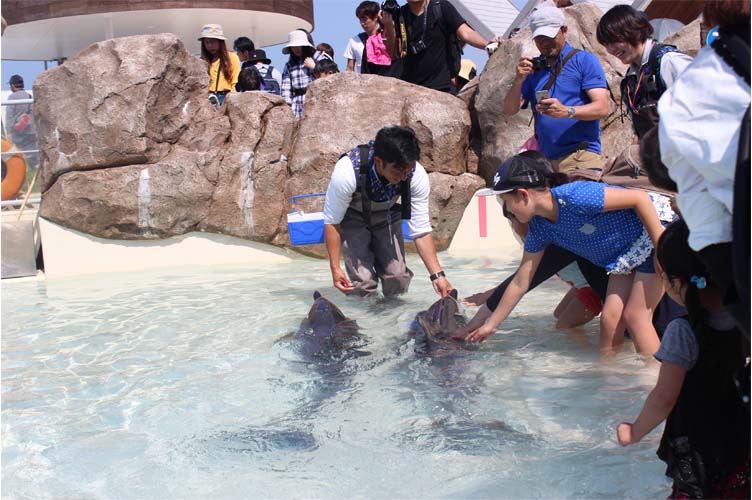 プレイングタイム15