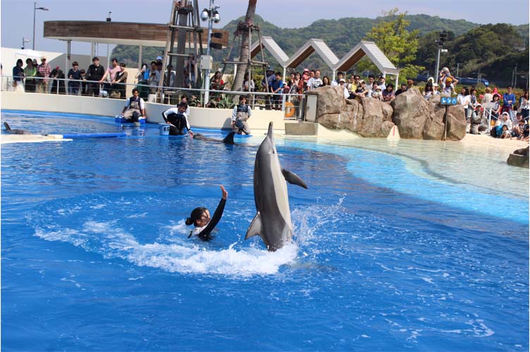 プレイングタイム4