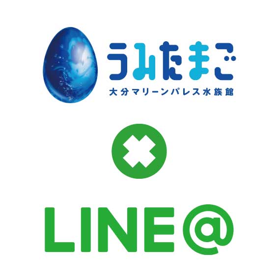 うみたまご×LINE@