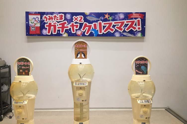 ガチャアイキャッチ