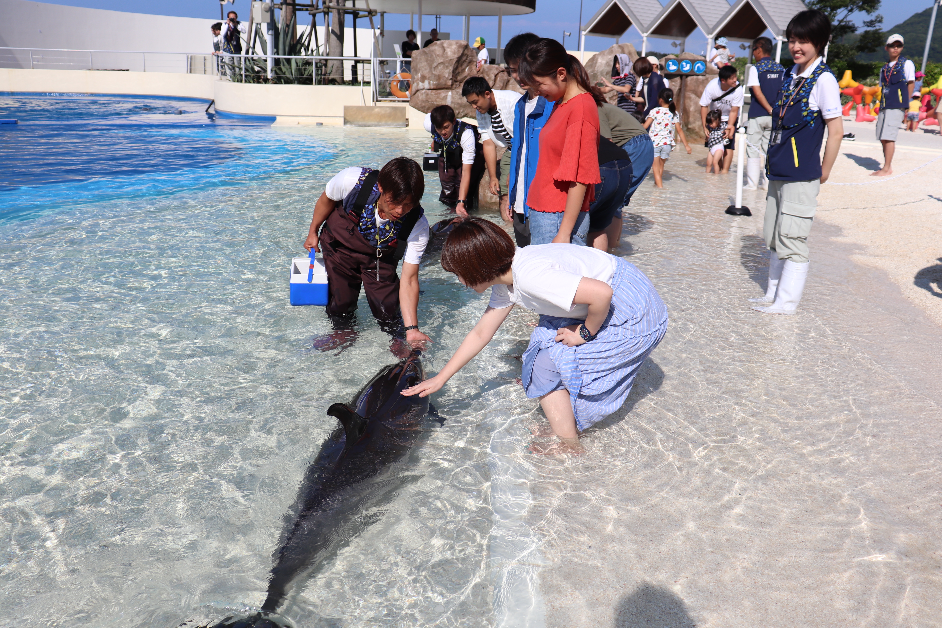 海洋孵化場 動物互動區「玩樂區」