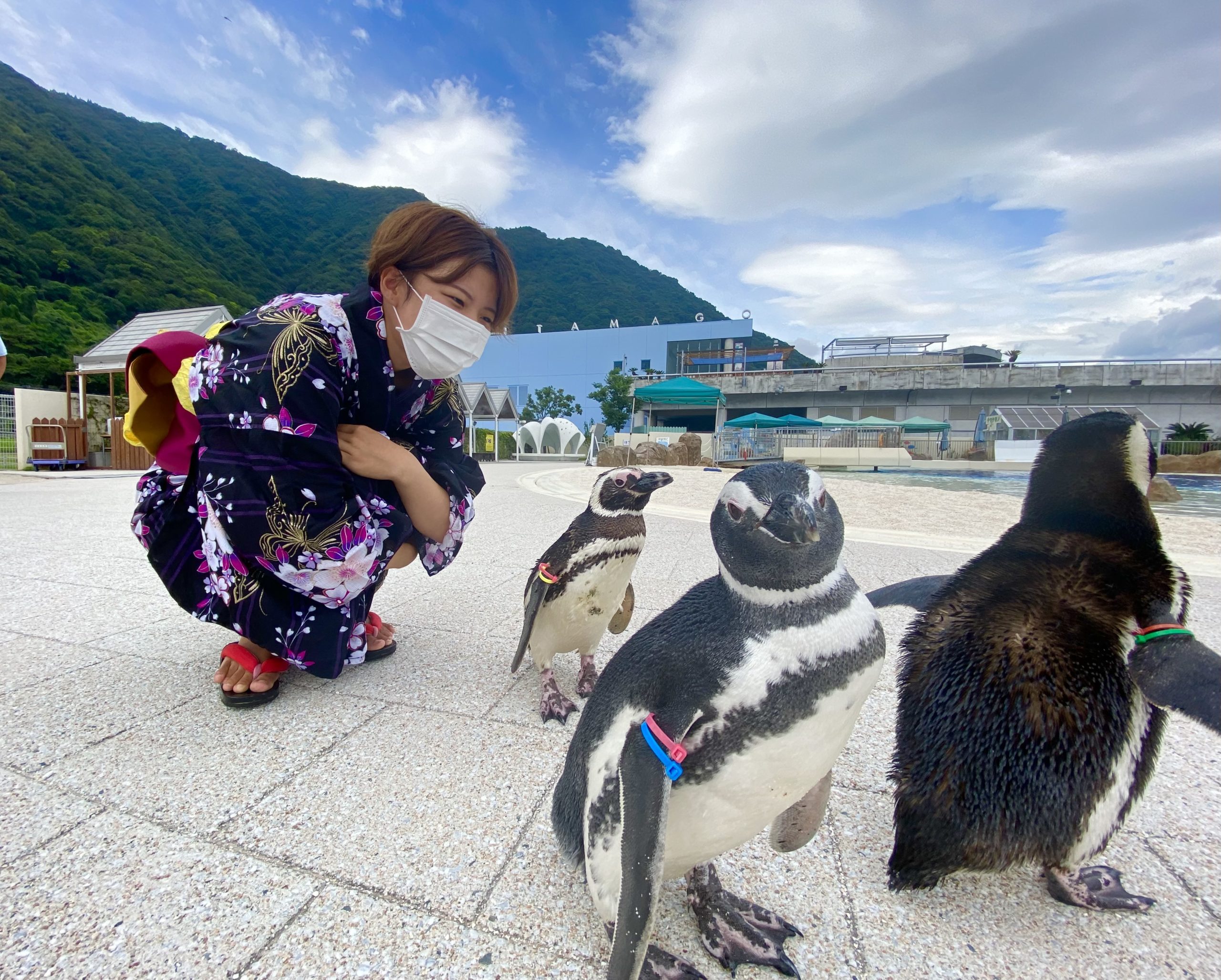 大分マリーンパレス水族館 うみたまご 公式サイト 大分観光