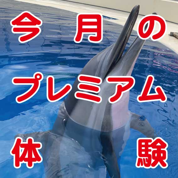 大分マリーンパレス水族館 うみたまご 公式サイト 大分観光 大分マリーンパレス水族館 うみたまご 公式サイト 大分観光