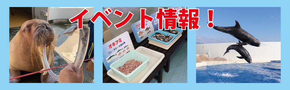 イベント情報
