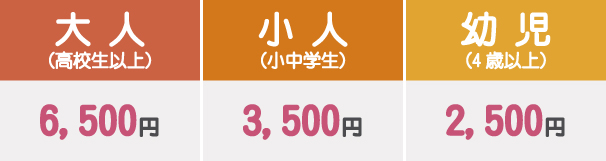 年間パスポート料金