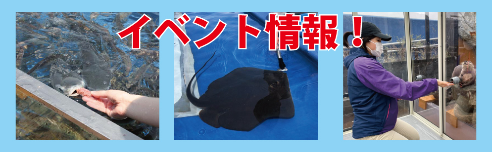 イベント情報