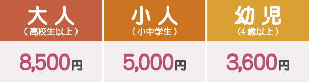年間パスポート料金