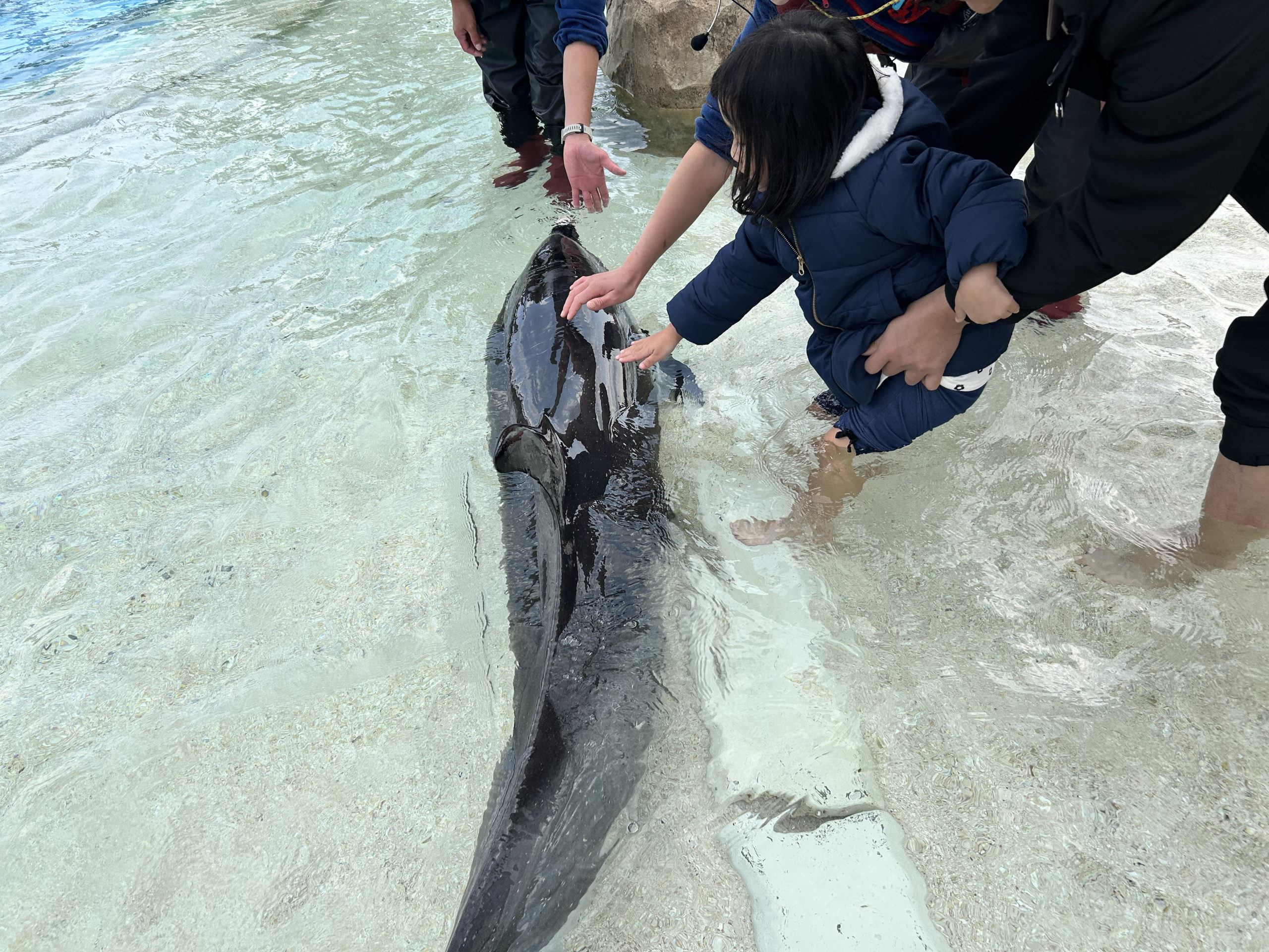 うみうみ様確認用 加藤 うみ フルカラーTシャツ [Summer Pockets REFLECTION BLUE] | 二