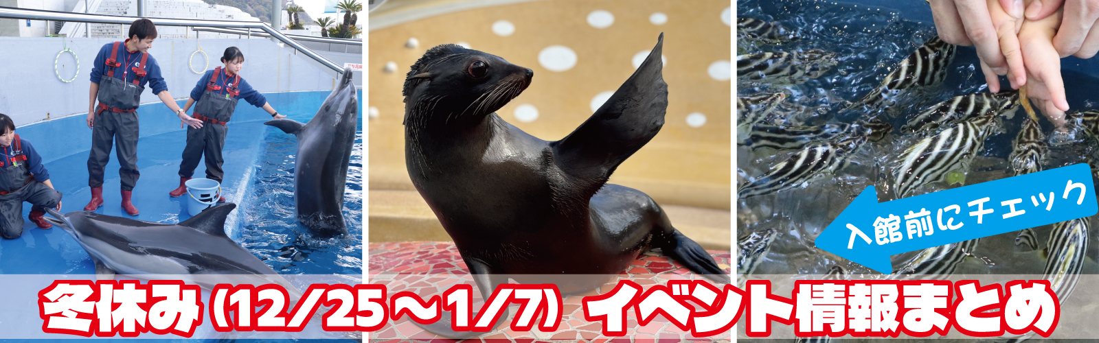 2025冬休みのイベント案内
