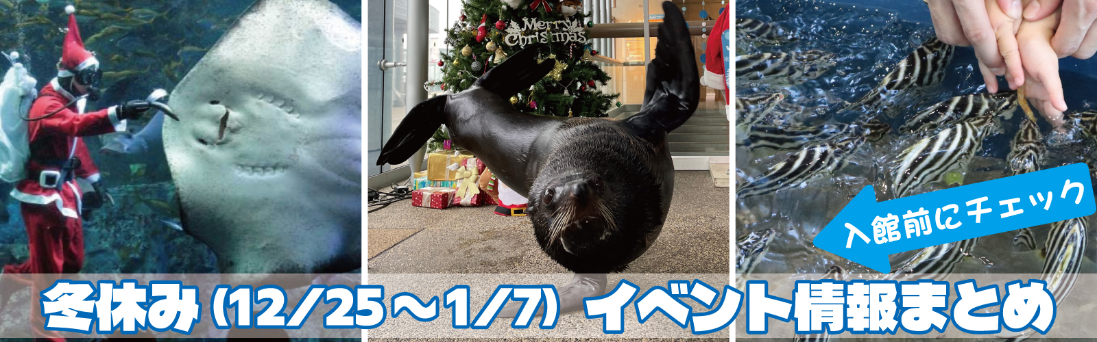 2025冬休みのイベント案内