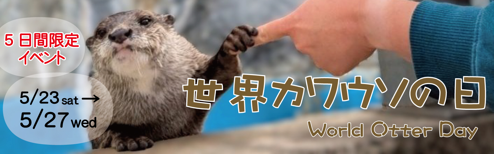 大分マリーンパレス水族館「うみたまご」公式サイト | 大分観光