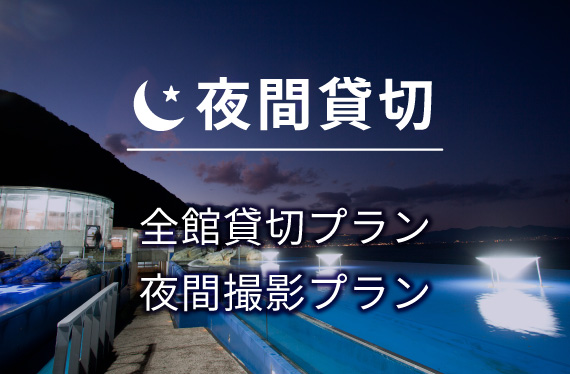 貸切パーティープラン